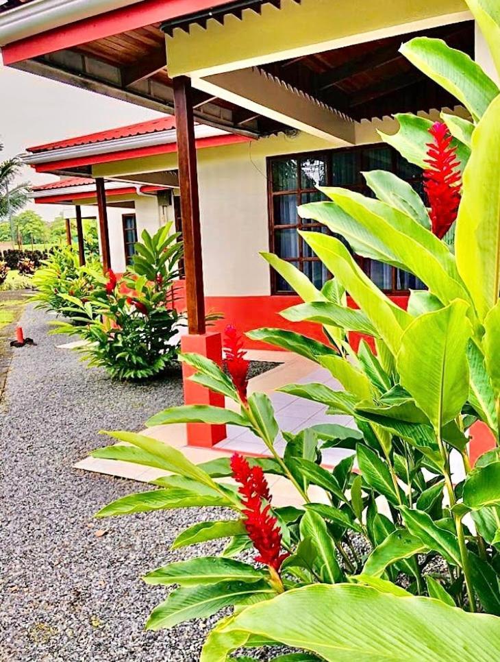 Готель Befox Adventure La Fortuna Екстер'єр фото