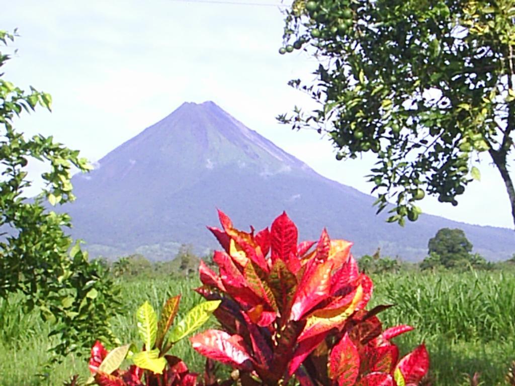 Готель Befox Adventure La Fortuna Екстер'єр фото